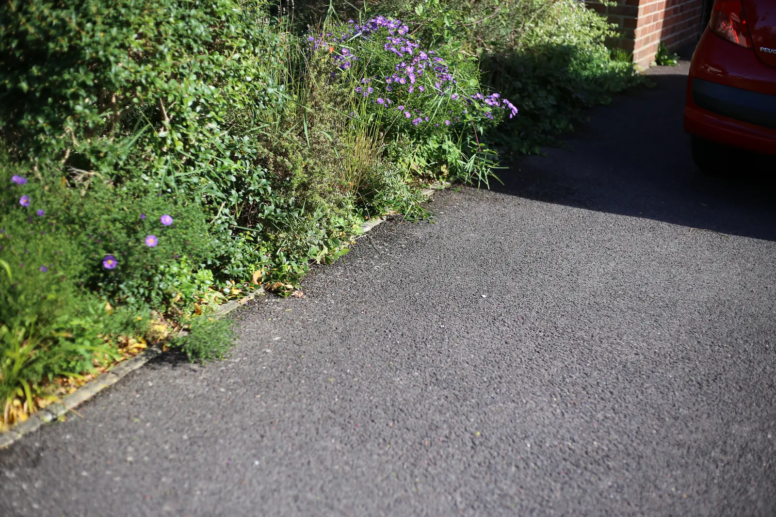 Tarmac driveway beside a planted border